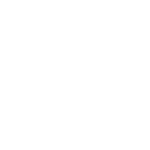 Firmwareentwicklung für FPGAs