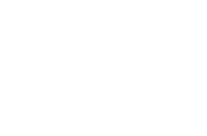 IBV - Echtzeit- und Embedded GmbH & Co. KG