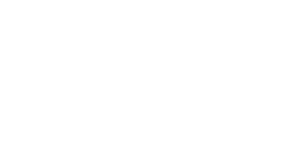 Logo – TSN
